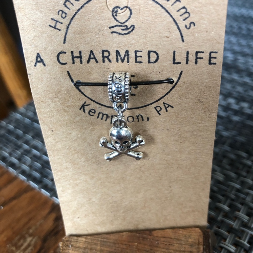 NOT FOR SALE.     NWT, Handmade by A Charmed Life. Skull on a Bail.